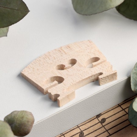 Strite for strings violin Music Life 1/2-1