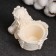Summary "Praying Angel" 10.5x7.5x9cm, gilding