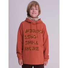 Sweatshirt for boys, height 134 cm, copper color
