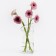 DOIY BODY flowers vase, 27 cm