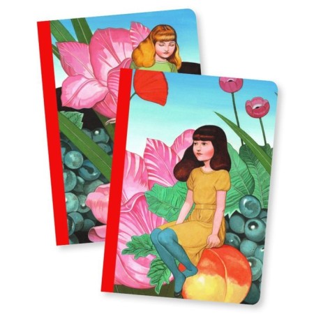 Set of notebooks Djeco "Fedora", 40 sheets, 2 pcs