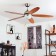 Ceiling fan with the lamp SUSALE, E14, 1x60W, steel, nickel, glass, white