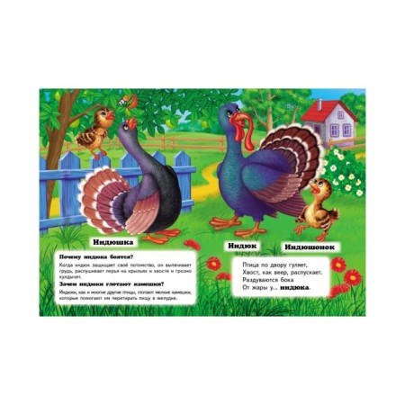 Mini Encyclopedia “Who is it? On the farm"-3