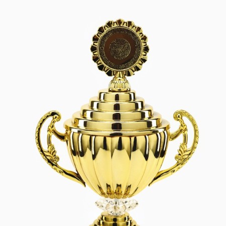 Cup 176a, award figure, gold, plastic stand, 38 × 15 × 10.5 cm.-6