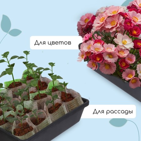 Box for seedlings 35 x 30 x 9 cm,-3