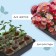 Box for seedlings 35 x 30 x 9 cm,