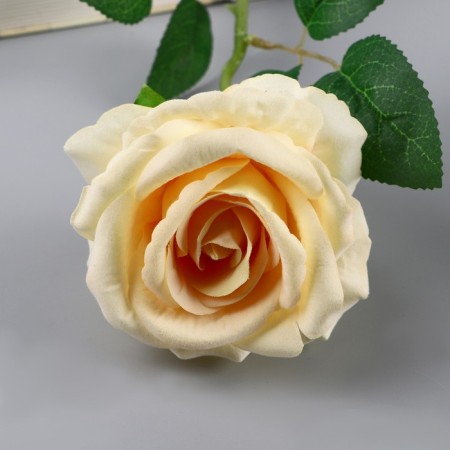 Flowers artificial "Tea extracks" D-7 cm 44 cm, yellow-1