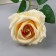Flowers artificial "Tea extracks" D-7 cm 44 cm, yellow