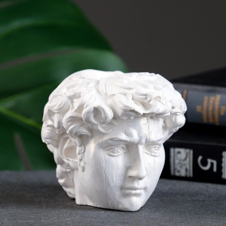 Kashpo - organizer "Head of David" Pearl, 9x9x9cm