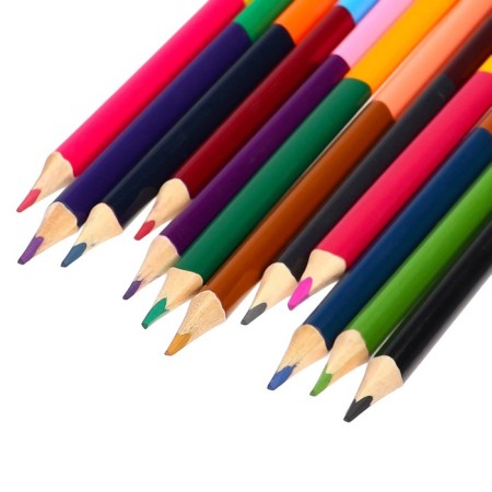 Color pencils, 24 colors, bilateral, puppy patrol-5