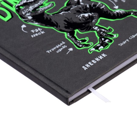 Universal diary for grades 1-11 T-ROX, hard cover, artificial leather, silk-screen printing, Liesse, 80 g/m2-2