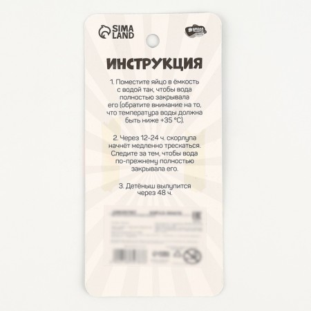 Растущие игрушки "Динозаврики"-4