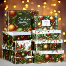 A set of boxes 10 in 1 