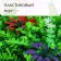 Decorative panel, 60 × 40 cm, flowers, mix, Greengo