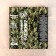 Applicator "Kuznetsova - a real peasant", 70 spines, film, 23 x 32 cm, green
