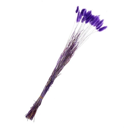 Dry -flowers "Lagurus", set of 30 pcs., Pudel color-2