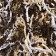 Paper Filler "B-52", brown, beige, white, 50 g