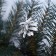 Garland coniferous "Winter fairy tale with silver cones" d-32 cm, dl 270 cm