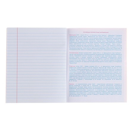 Subject “Domino”, 48 sheets in a ruler, “literature”, plastic cover, offset block-4
