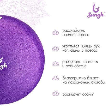 Yoga ball sangh, d = 25 cm, 100 g, purple color-1
