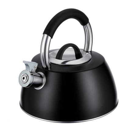 Teapot Regent Inox Tea, with a whistle, 3 l + a titting gift for brewing tea