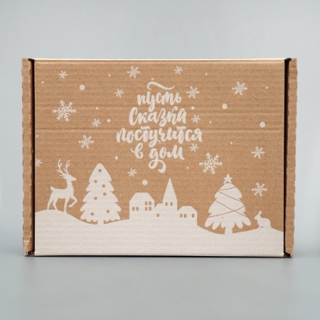 Box the national team "Snow City", Bury, 27 x 21 x 9 cm, New Year-3