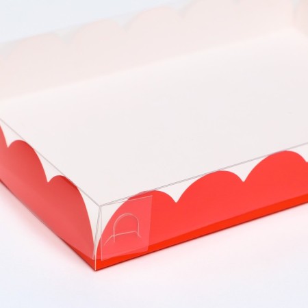 Box for cookies, red, 22 x 15 x 3 cm-1