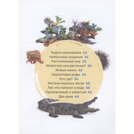 The first encyclopedia of the baby "Underwater World"-2