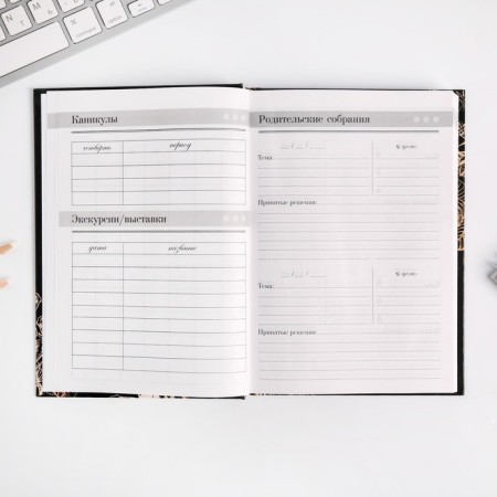 Diary of the Teacher "Golden Teacher", A5 format, solid cover cardboard 7BC, 160 sheets-6