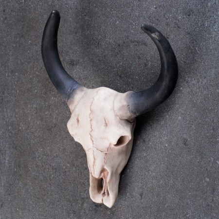 Wall decor "Skull" 26*10*20cm