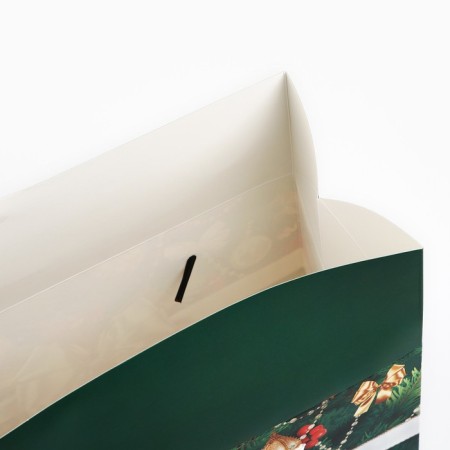 Package - box "New Year's gift", 23 x 18 x 11 cm, New Year-4