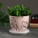 Flower Pot "Flowers" 1 l, white