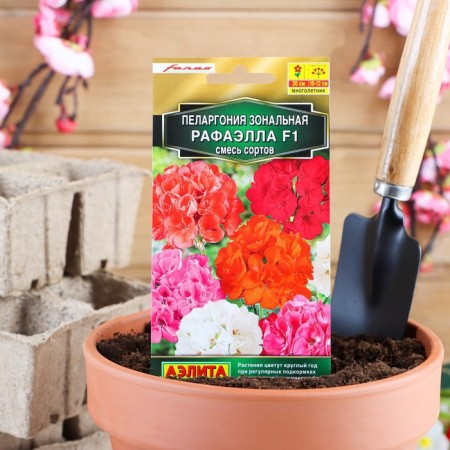 Seeds of indoor flowers Pelargonium "Raphaella", F1, 5 pcs.