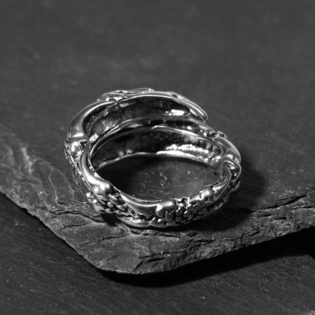 Ring "Right" Dragon in hibernation, color black silver, dimensionless-4