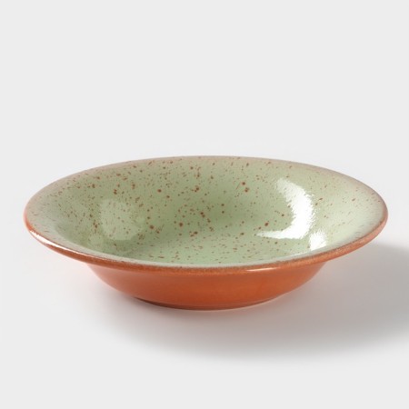 Deep plate Colorlife, 500 ml, d = 22 cm, h = 4.5 cm, green color