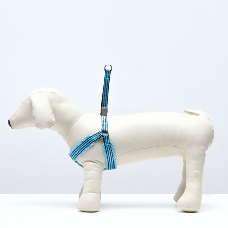 Super-furry harness with reflective firmware, size m, girth 32-63 cm, blue-3