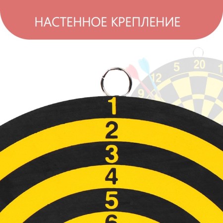 Darts, d = 22 cm, 2 darts-2