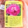 Seedling rose Canadian Plesy "John Cabot", tube, 1 pc, spring 2025