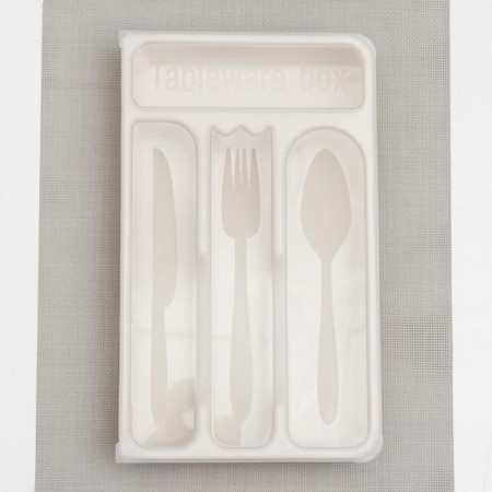 Tray for cutlery with a lid of a share, 30 × 18 × 4.5 cm, color mix-6