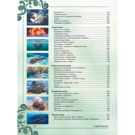 A large book about the underwater world. 1001 photography. Likso V.V.-2