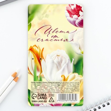 Set Stickers and pen "The most beautiful", 2 x 30 l, blue paste 0.7 mm-5