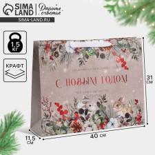 Craft horizontal package “Testament Dreams”, L 40 x 31 x 11.5 cm, New Year