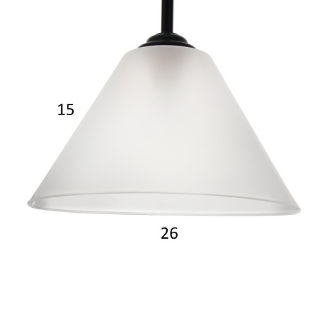 FORSHER "Arbat" 1x15W E27 Model: BR 01022 Black/Transparent-5