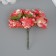 Decorative flower for the creativity of "chrysanthemum" red-white