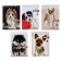 Notepad A6, 40 sheets on the crest of the "dog", cover of laminated cardboard, mix
