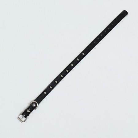 A collar with blunt spikes 38 x 1.5 cm, Osh 26-33, frost-resistant PU, black-4