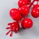 Decor for creativity "A twig with berries 12 berries" red 11.5 cm