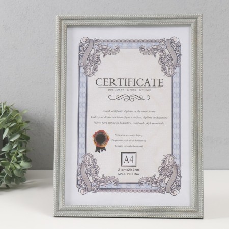 Photo frame Plastic format A4 "Double Spit" Gray 23.4x32.1x1.1 cm