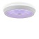 Ceiling lamp 24W, LED, 9.5x39 cm, white