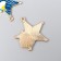 Decor for creativity Metal, enamel "Unicorn with a star" 3.2x3.3 cm